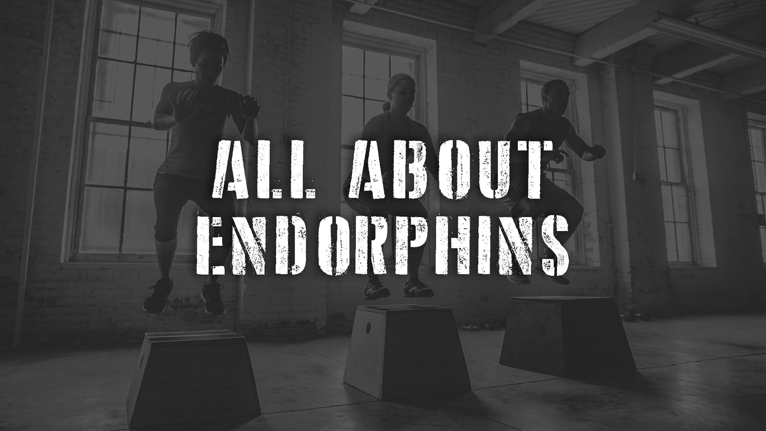 All About Endorphins
