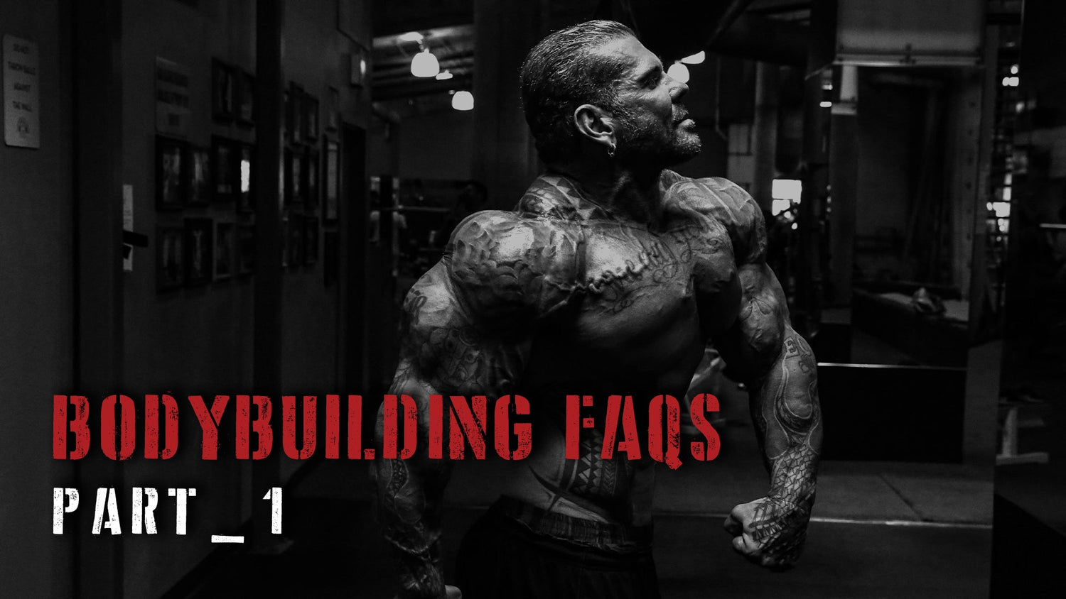Bodybuilding FAQs