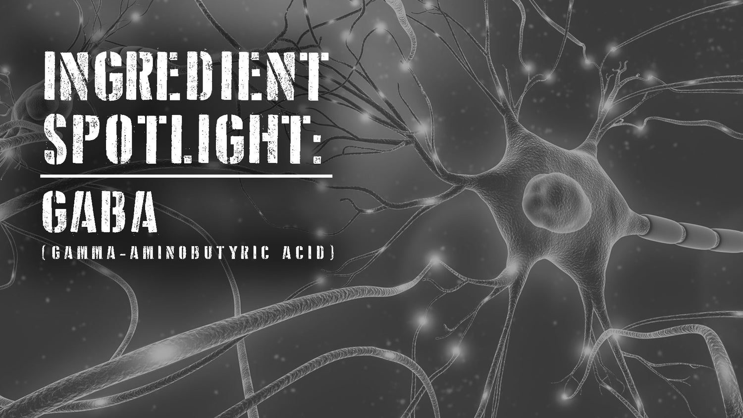 Ingredient Spotlight: GABA