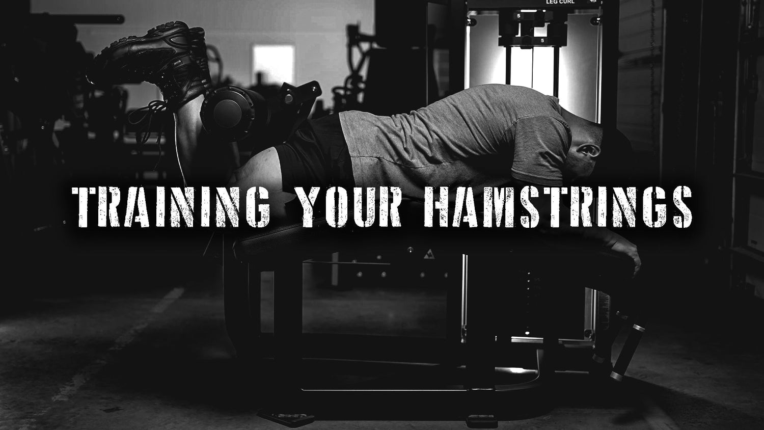 Training Your Hamstrings