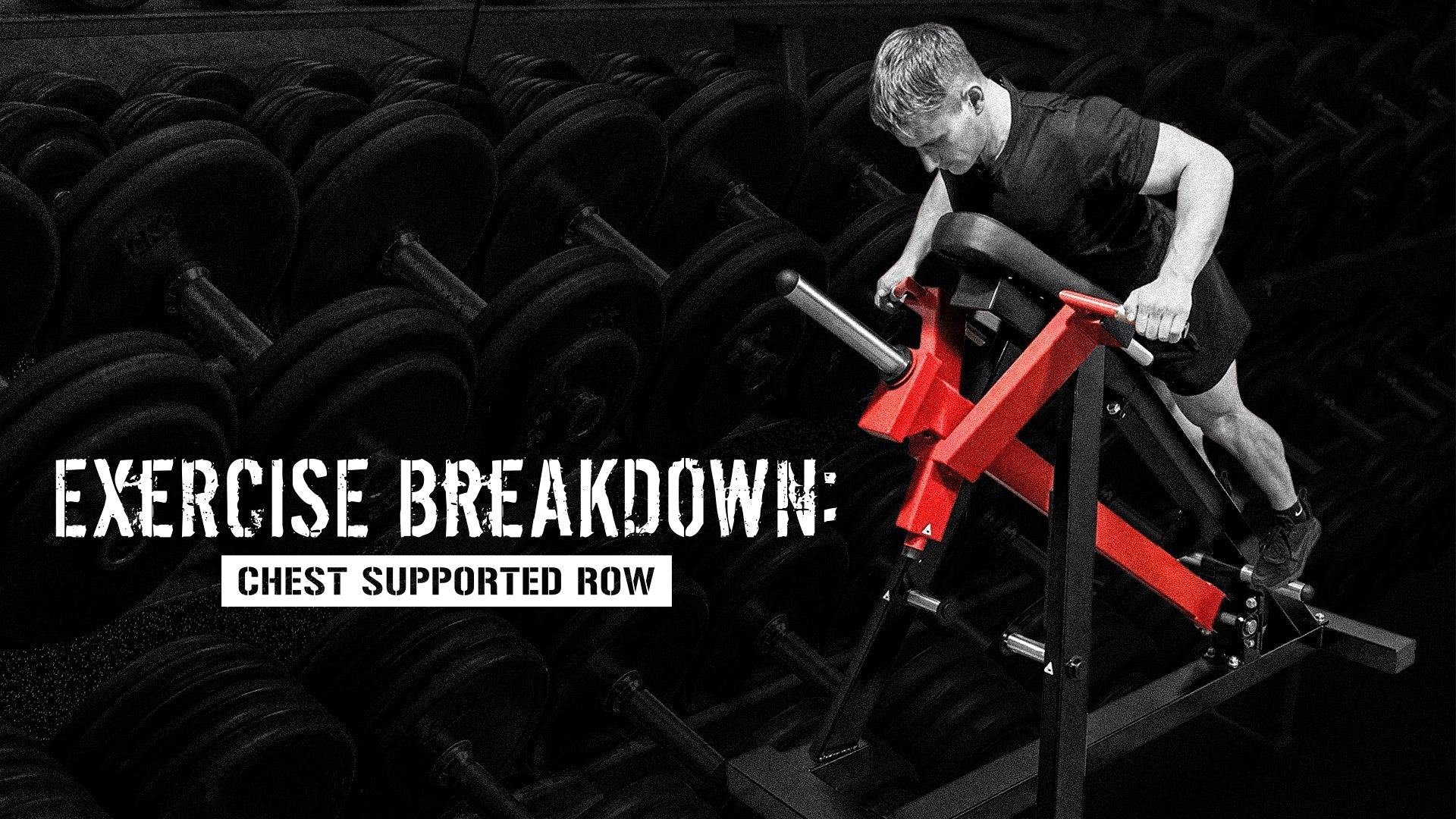 Exercise Breakdown - Chest Supported Row