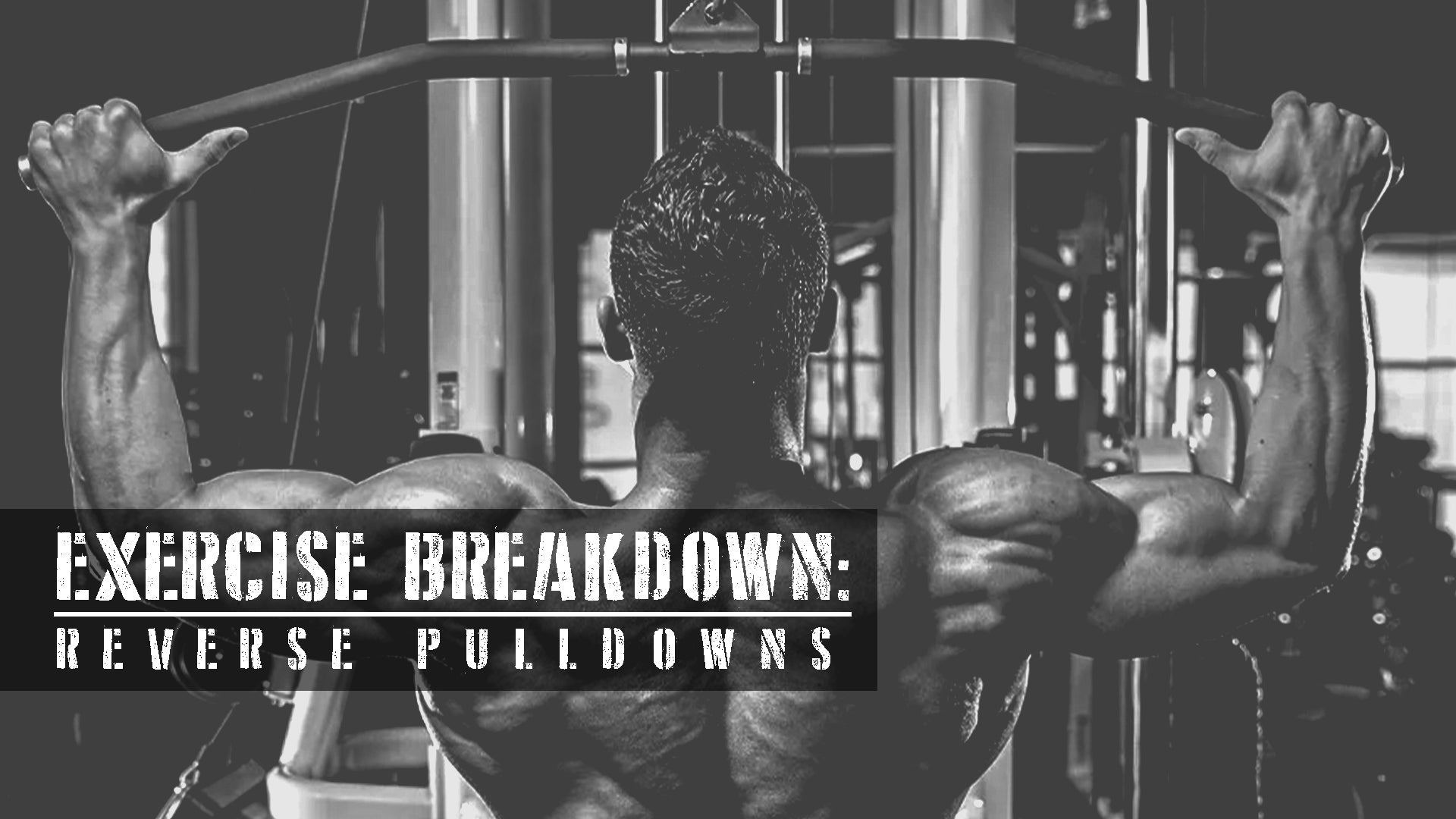 Exercise Breakdown: Reverse Pulldowns