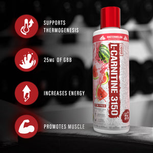 Liquid L-Carnitine 3150 - 5% Nutrition